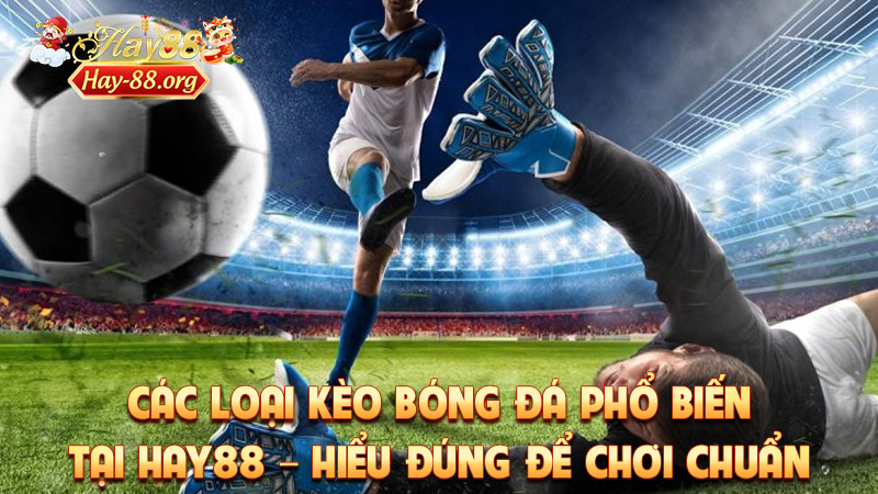 Các Loại Kèo Bóng Đá Phổ Biến Tại Hay88 – Hiểu Đúng Để Chơi Chuẩn