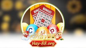Chơi xổ số Bingo như cao thủ