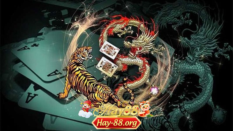 Rồng Hổ Là Gì